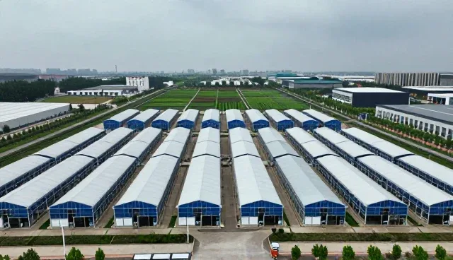 智能监控系统在项目实施中的场景应用分析